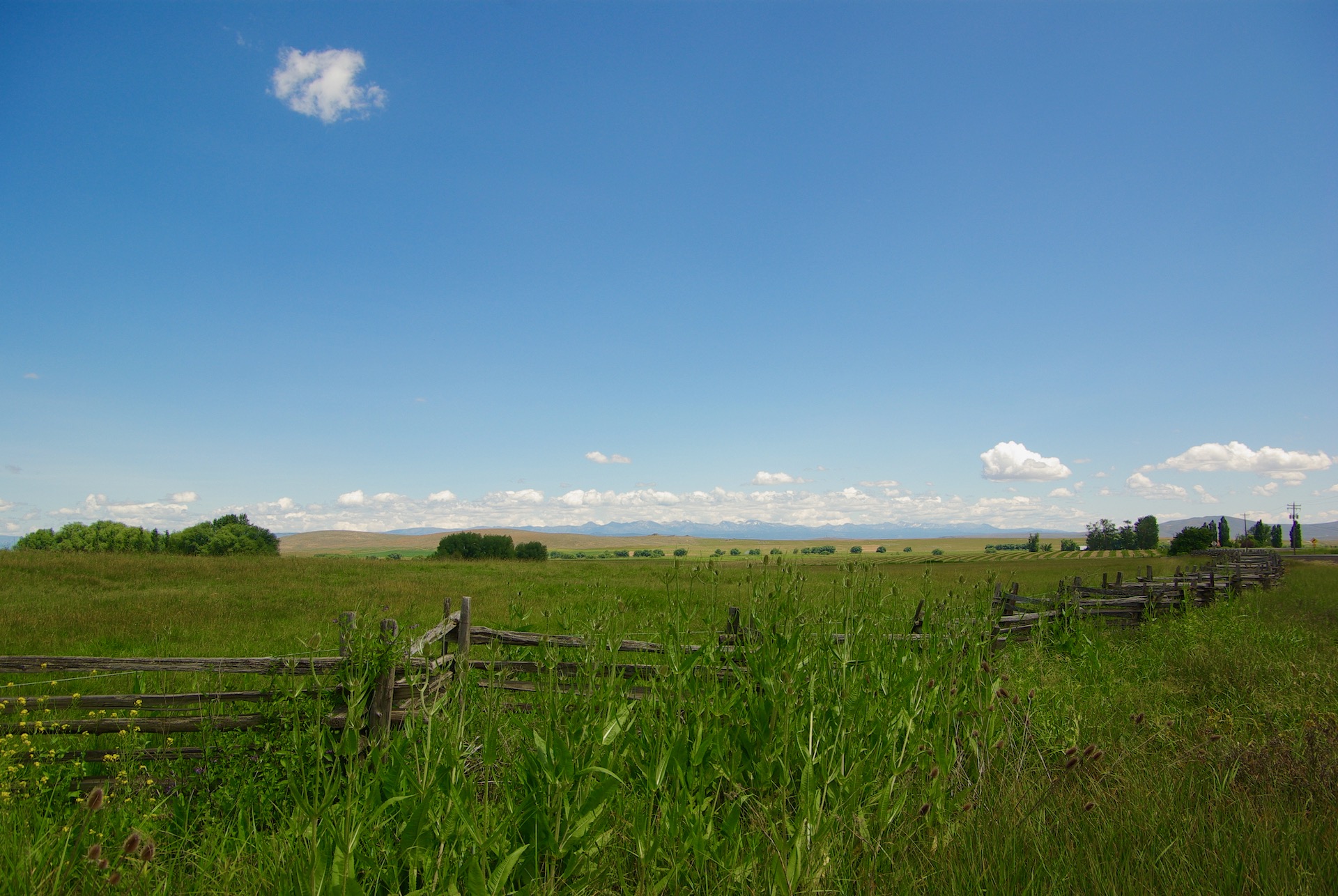 Grassy Pastureland View