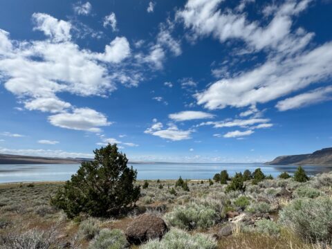 Lake Abert