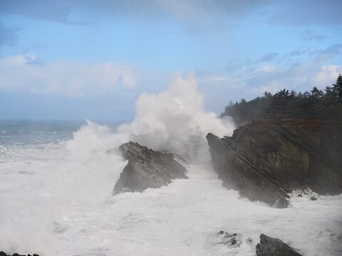 Shore Acres Wave