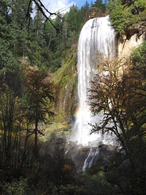 Silver Falls